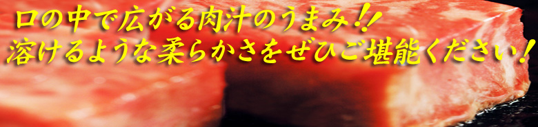 ���㋍�ʔ́E�J�j�ʔ̊J��-�����I�[�G�C�g